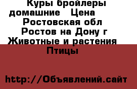 Куры бройлеры домашние › Цена ­ 200 - Ростовская обл., Ростов-на-Дону г. Животные и растения » Птицы   